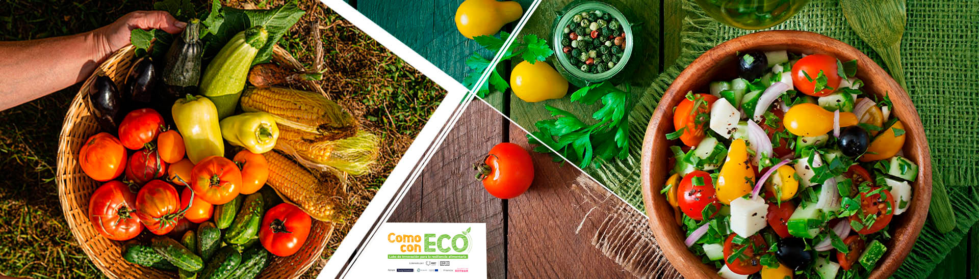 Como con ECO: labs de innovación para la resiliencia alimentaria.