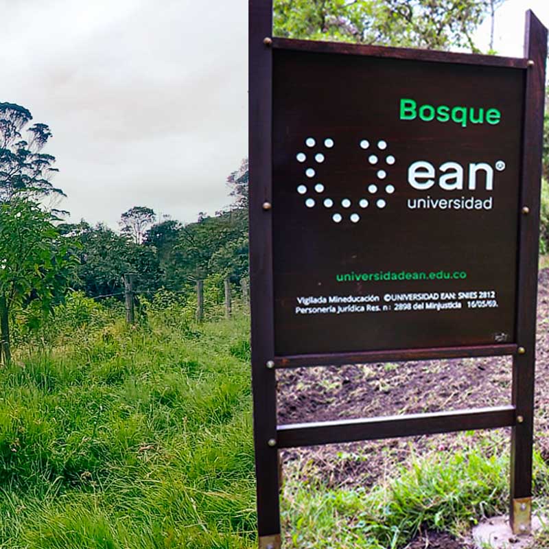 Nuestro Bosque Universidad Ean ya cuenta con más de 3 700 árboles nativos sembrados 