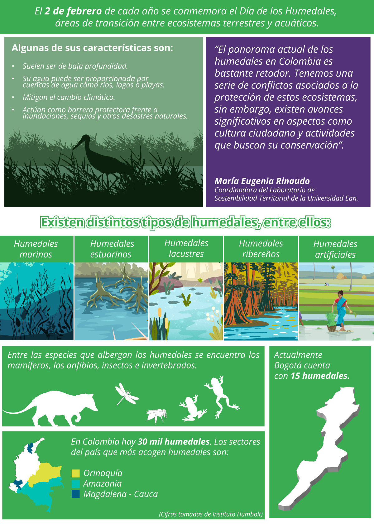 Hojas De Trabajo Sobre Humedales