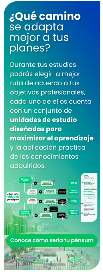 Mapa Minor Mobile