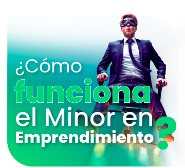 ¿Cómo funciona el Minor en Emprendimiento?
