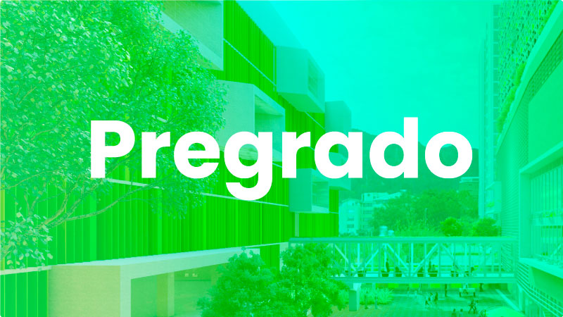 Pregrado