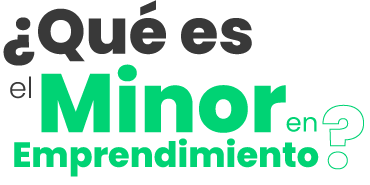 ¿Cómo funciona el Minor en Emprendimiento?