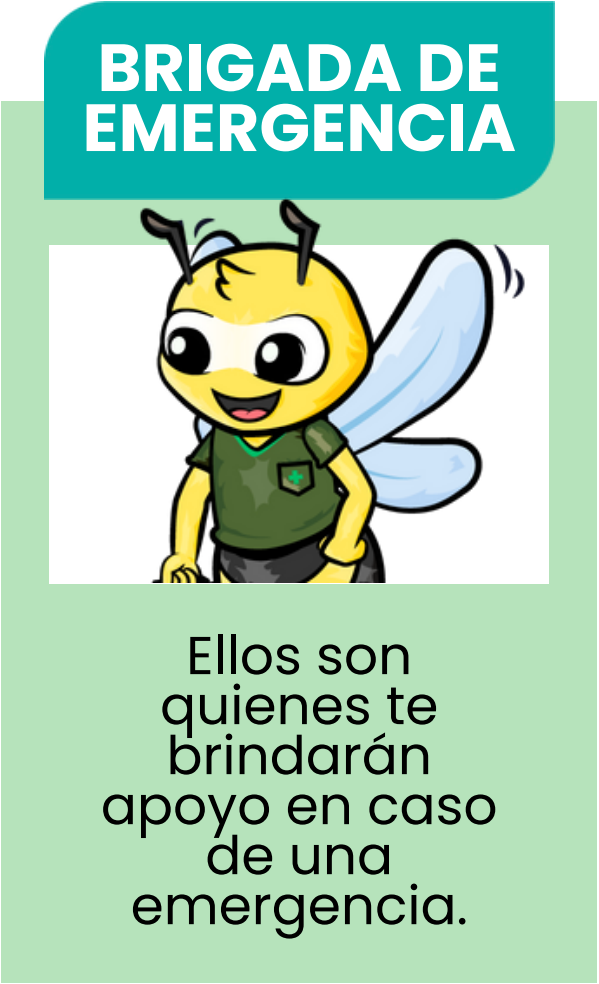 brigada de emergencia