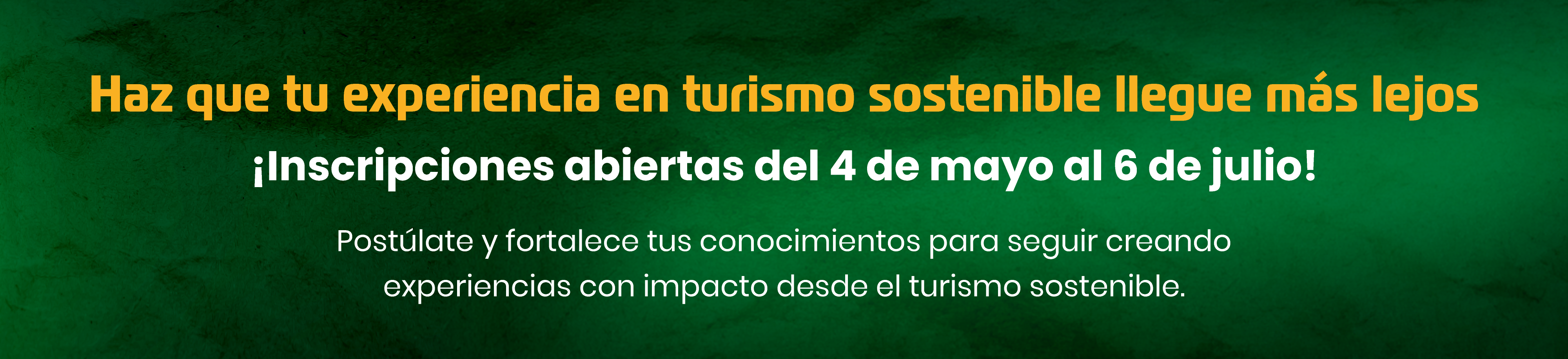 Banner Body - Landing Becas Turismo