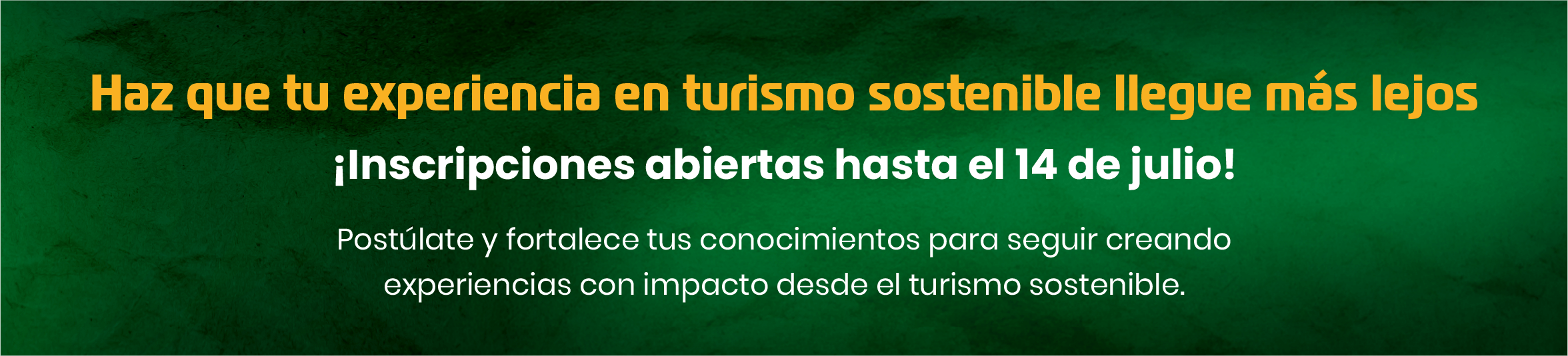 Banner Body - Landing Becas Turismo