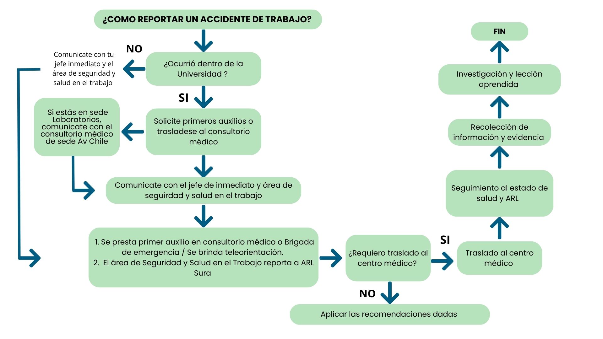 colaboradores