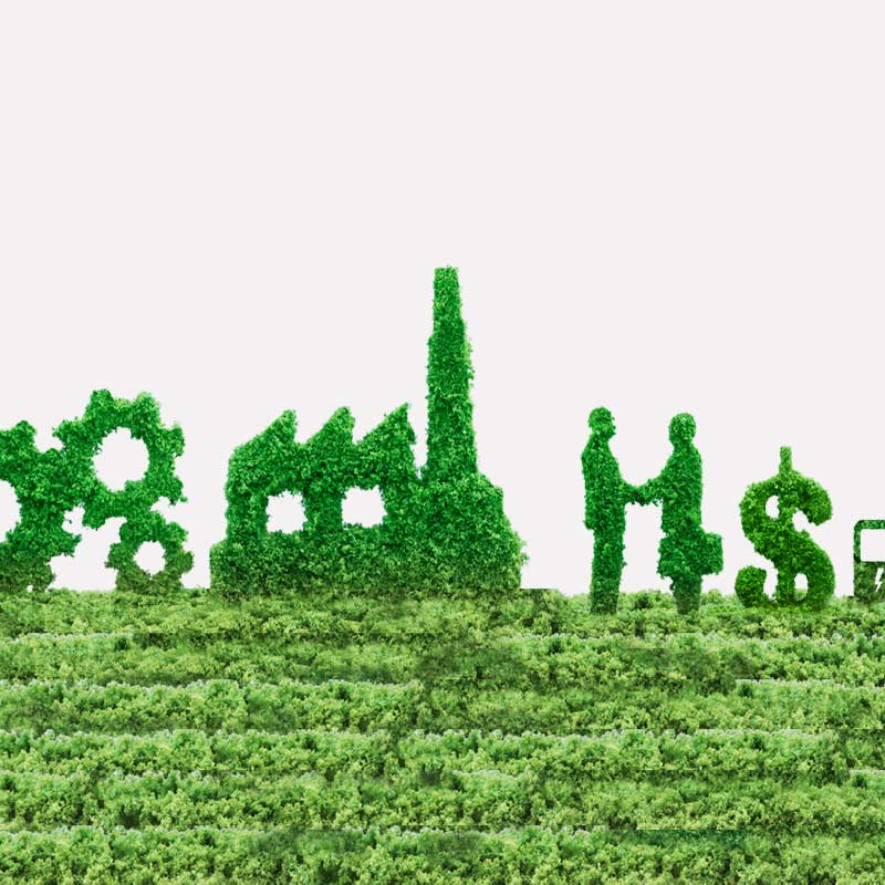 Webinar: Empresas Sostenibles Webinar: Empresas Sostenibles