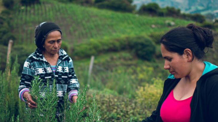 Urban Garden Emprendimiento Universidad EAN - galería 5