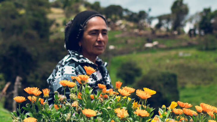 Urban Garden Emprendimiento Universidad EAN - galería 4