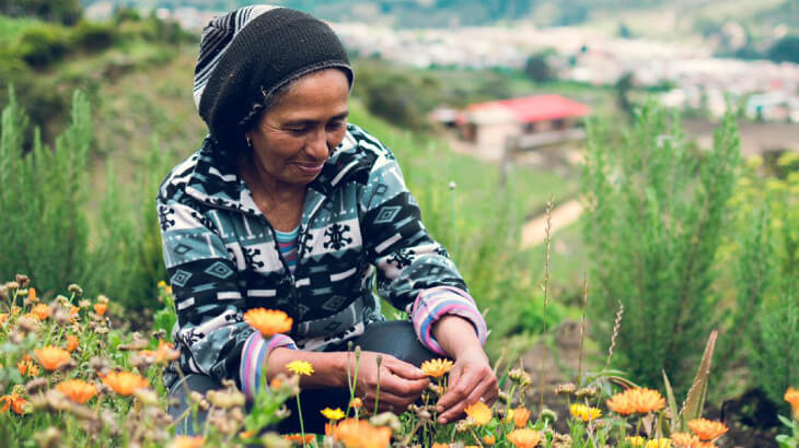 Urban Garden Emprendimiento Universidad EAN - galería 1