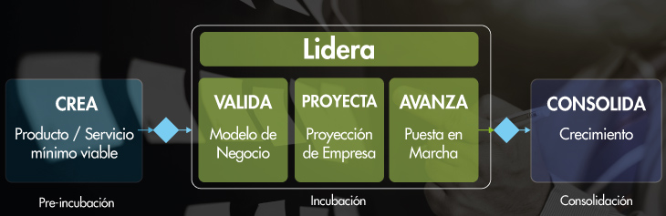 EAN Impacta