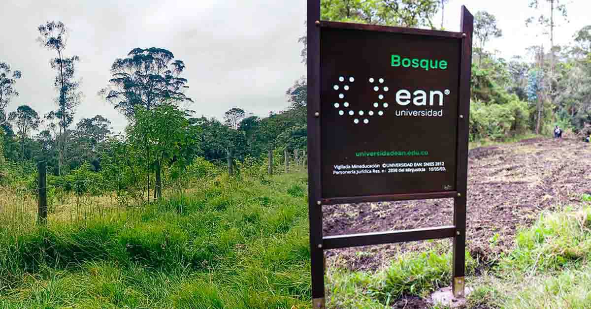 El Bosque Universidad Ean ya tiene sembrados más de 3700 árboles
